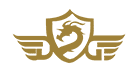 WG娛樂城合作廠商 DG視訊